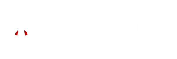 Origami JDM